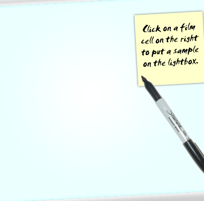Light Box for portfolio images. Images will appear here when the film cells to the right are clicked.